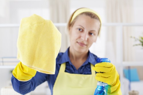 Professional carpet cleaning in a Blackfriars home interior