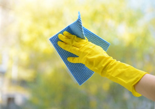 Professional pet stain odour removal in Blackfriars for carpets