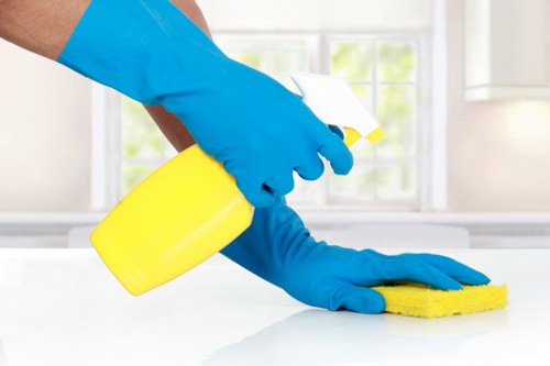 Professional upholstery cleaning in a Blackfriars living room