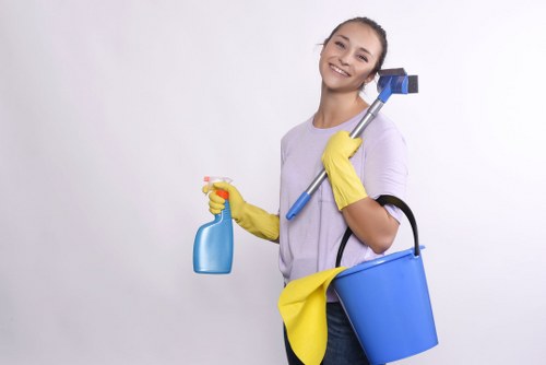 Eco-friendly carpet cleaning service promoting recycling and low emissions
