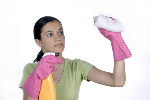 Technician reviewing carpet cleaning safety checks in Blackfriars