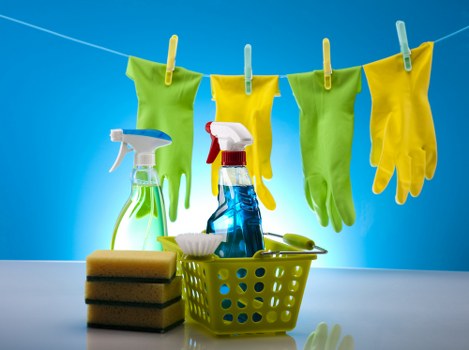 Professional stain removal for carpets and furniture