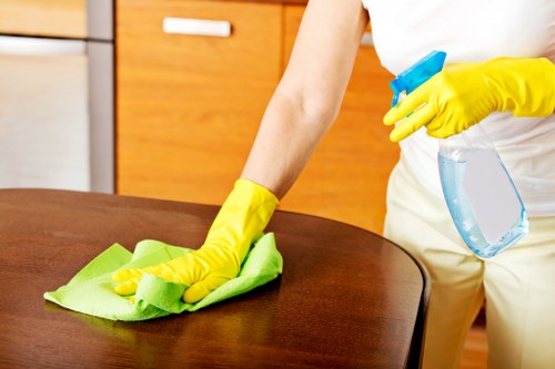 Stain removal treatment during carpet cleaning in Blackfriars